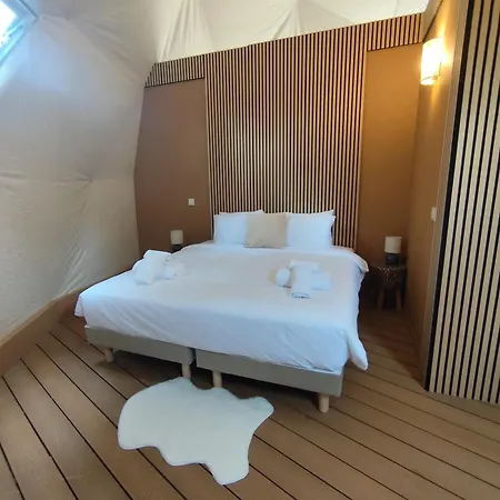 Le Hameau Arribas Bed & Breakfast Conde-Sainte-Libiaire